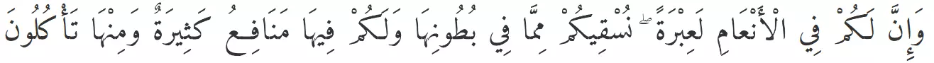 al mu'minun ayat 21 growth hormone